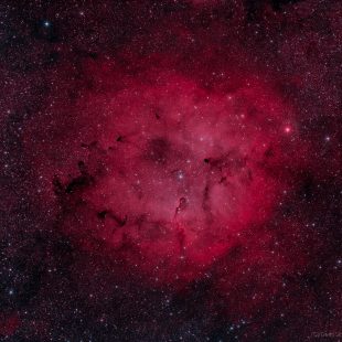 Elephant_HO_15+19x600sec_v2 (IC1396 – Emission Nebula in Cepheus – Bicolor)
