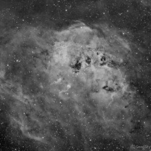 sh2-236_2017-01-07_h_32x600sec_v1 (Tadpole Nebula – Sh2-236 – Mono)