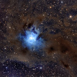 Iris_AP175_2017-09-21_LRGB_21+27+23+17x900sec_v1 (Iris Nebula – AP175 Refractor)